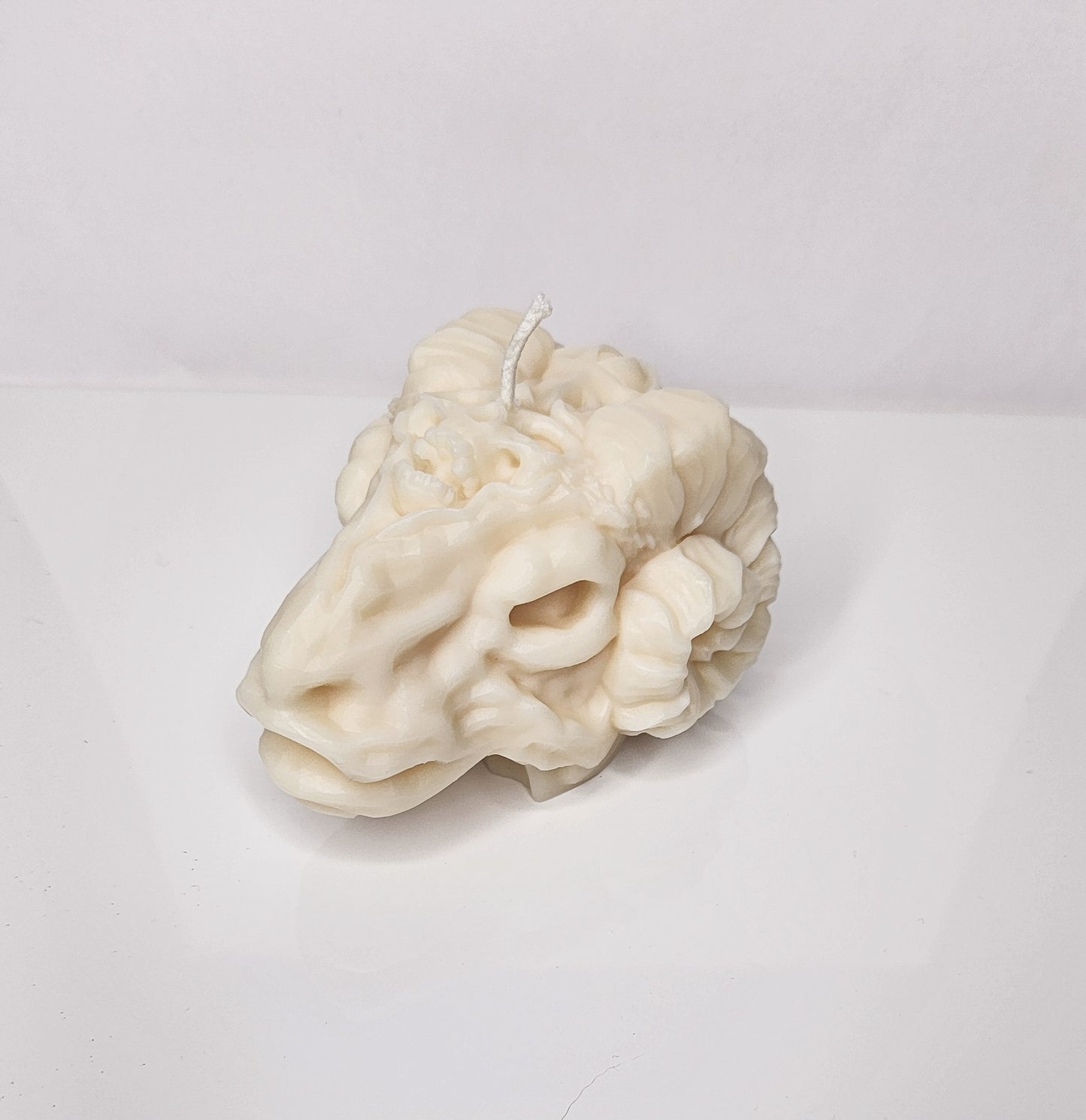 Skull of Secrets Sheep Ram Candle