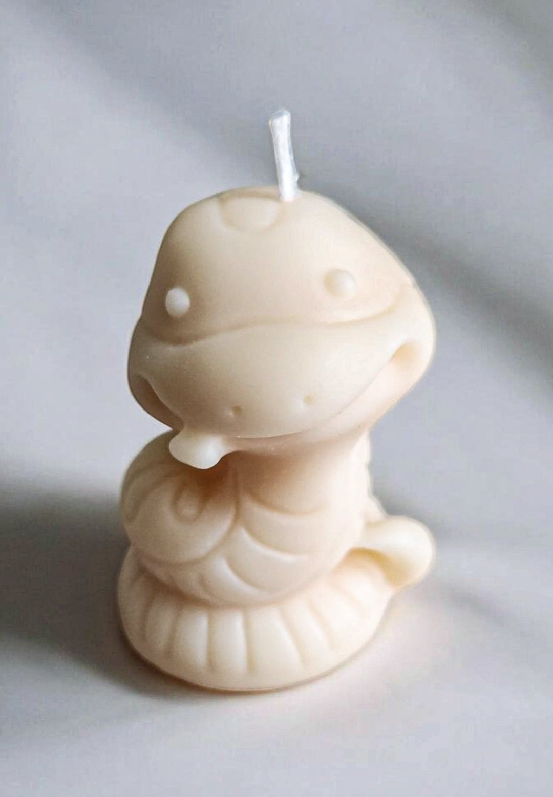 Playful Snake Candle