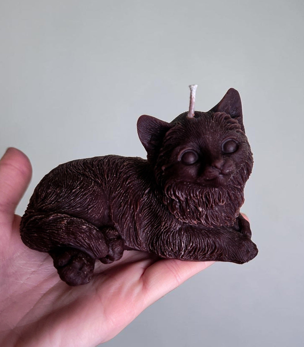 Nuggies the Brown Ragdoll Kitty Cat Candle
