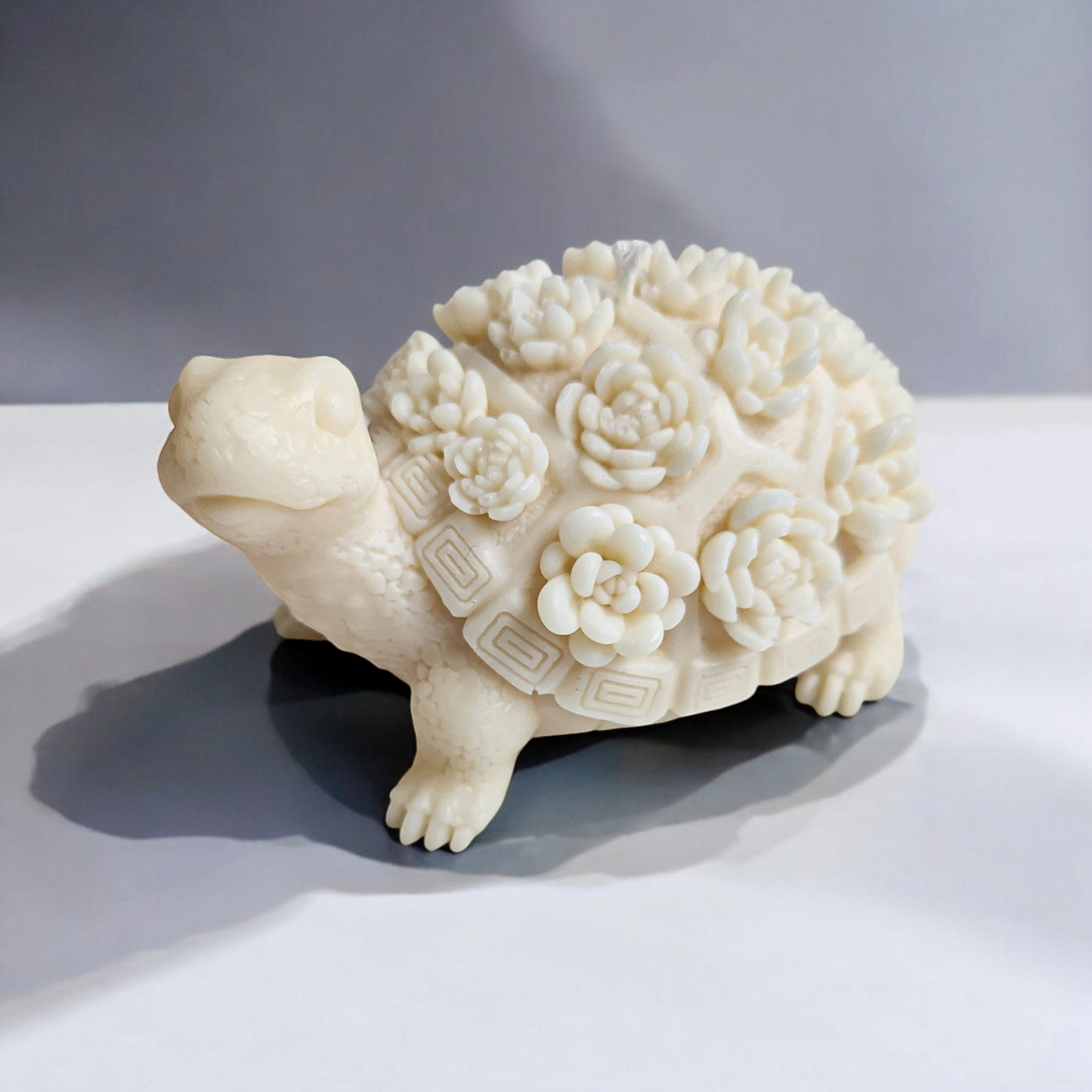 The Botanical Turtle Duo