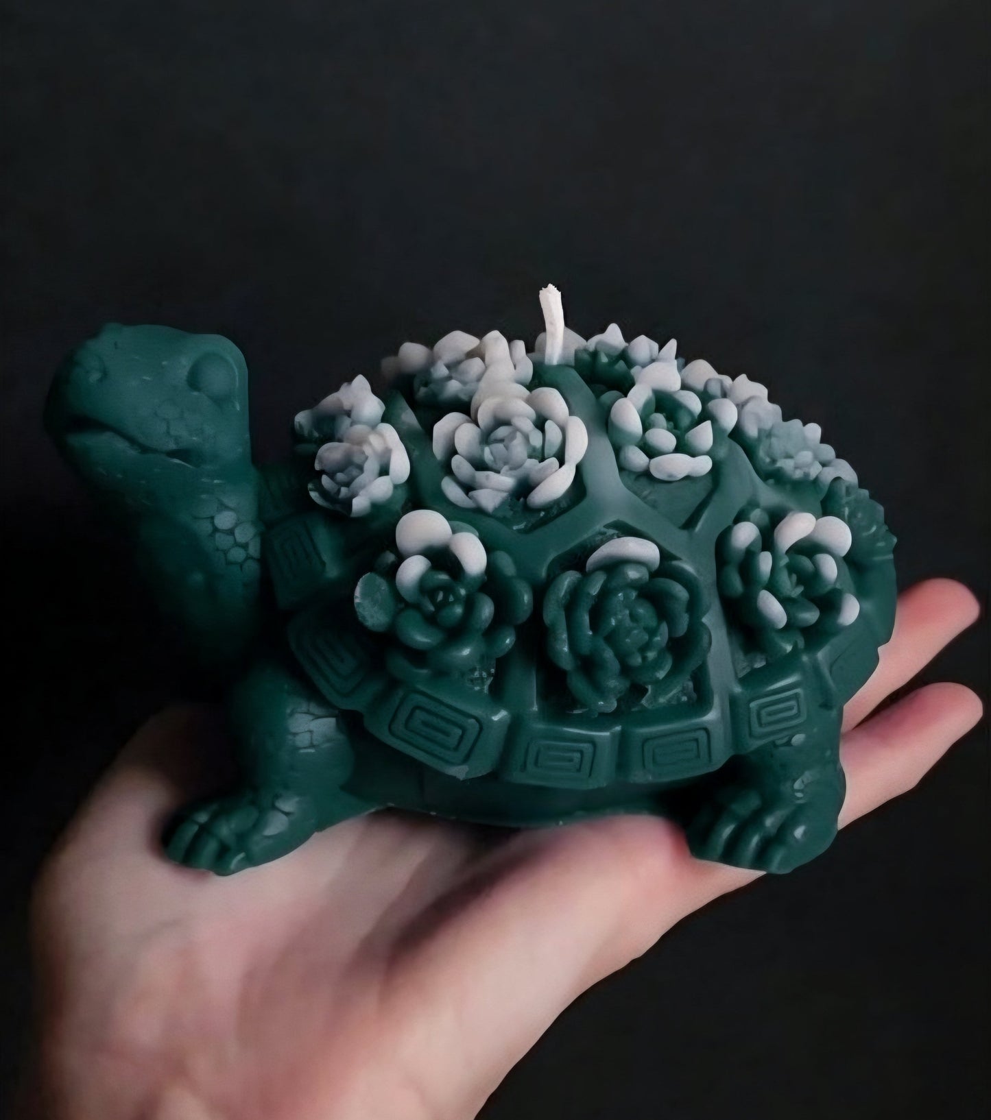 Turtle Bloom: Enchanted Succulents Candle