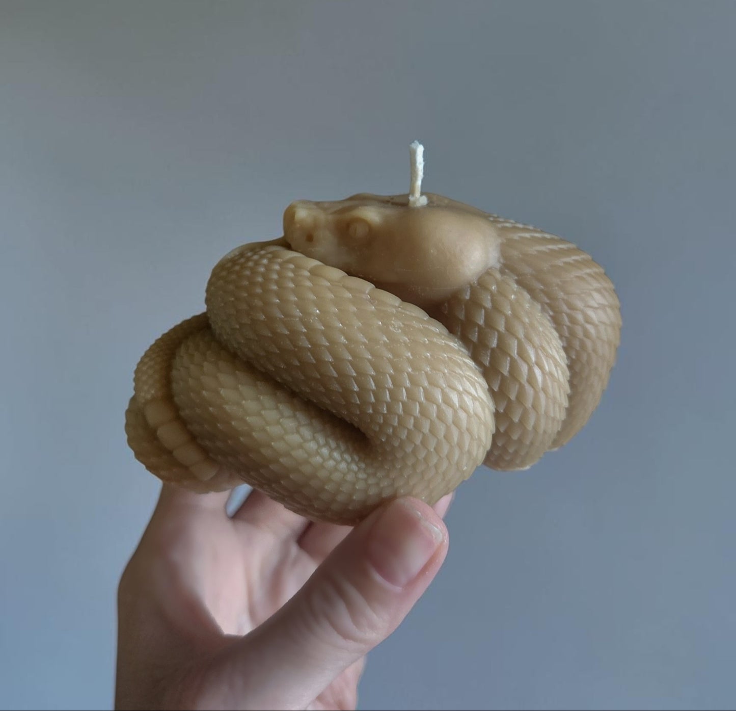 Ochre Whisper Serpent Candle