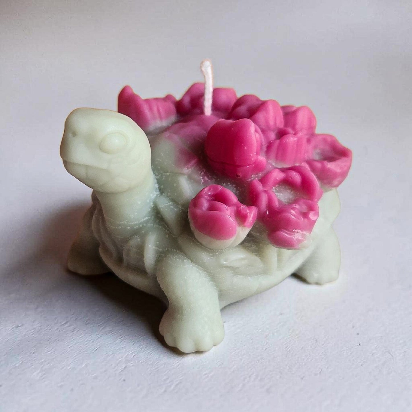 Tulips Bloom Turtle Shell Candle