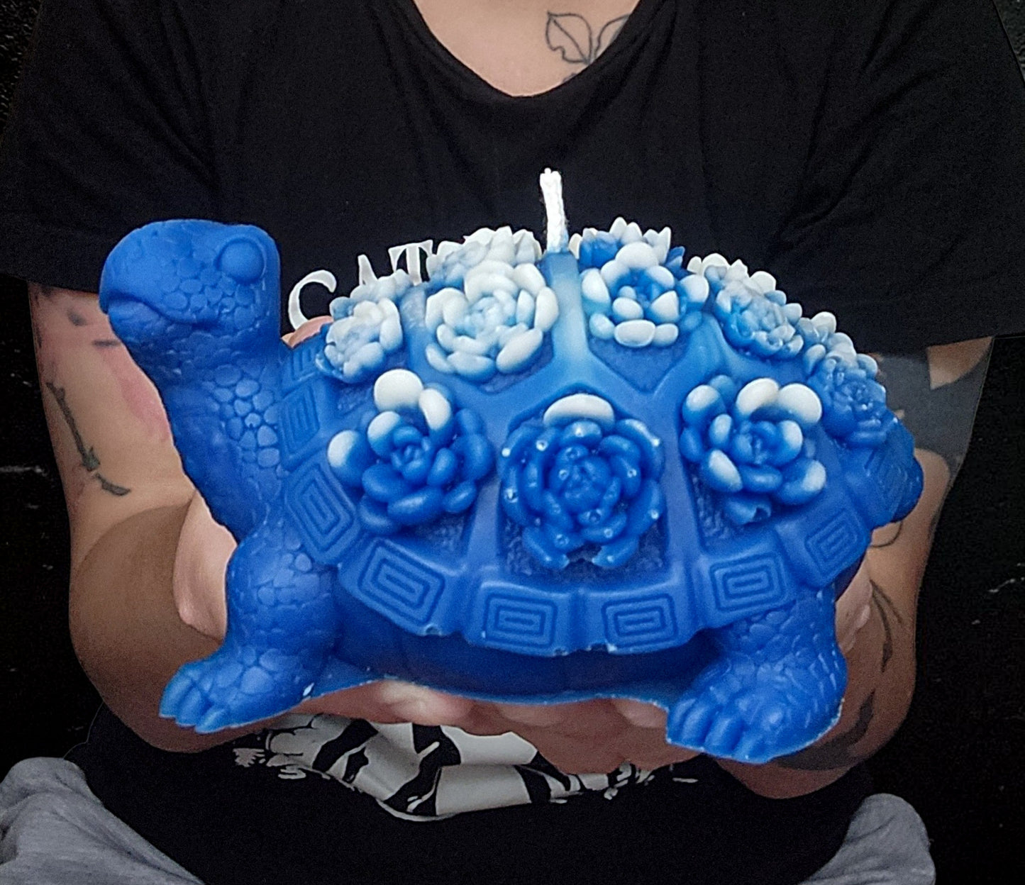 Turtle Bloom: Celestial Succulents Candle