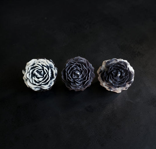 The Night Bloom Trio (Small)