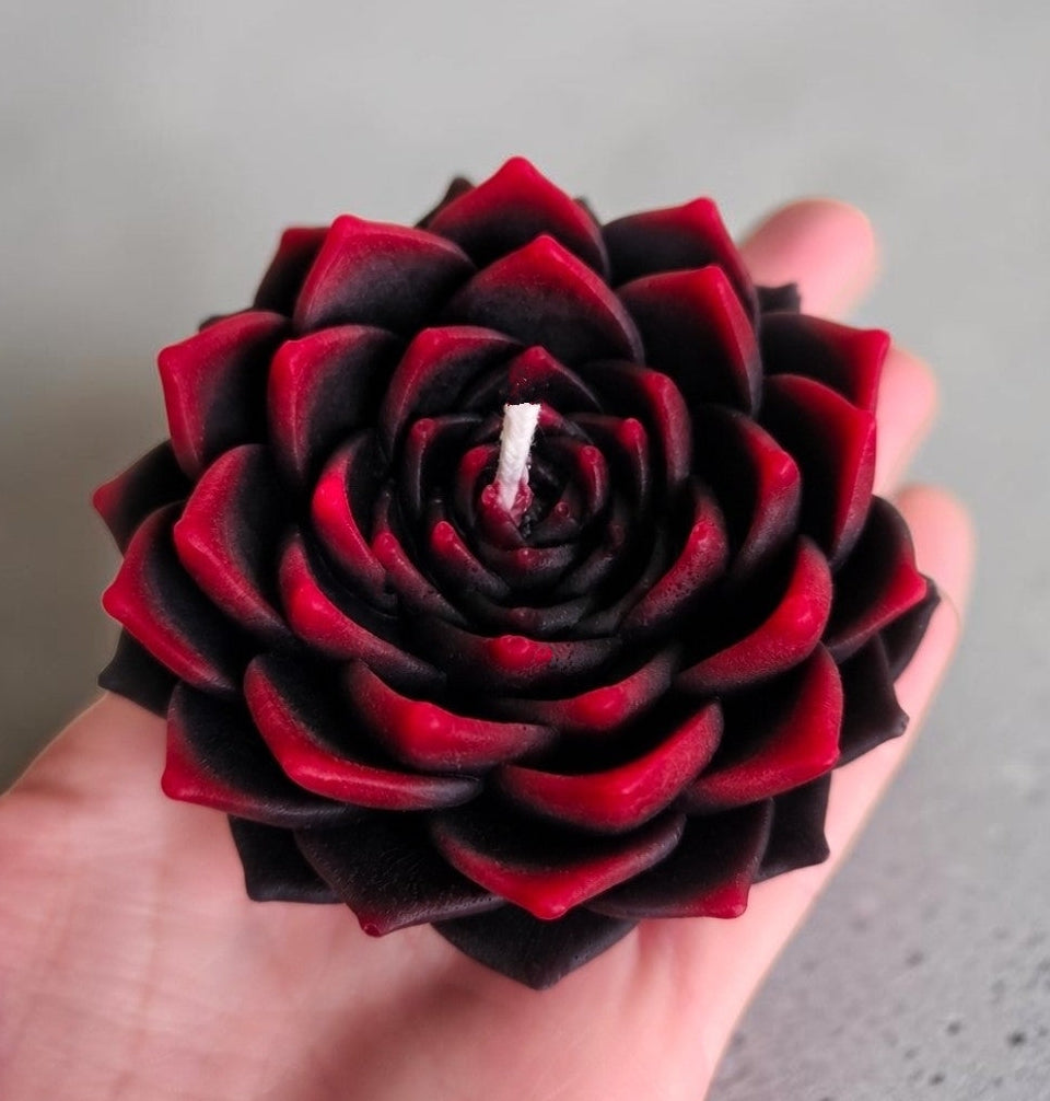 Crimson Bloom Succulent Candle