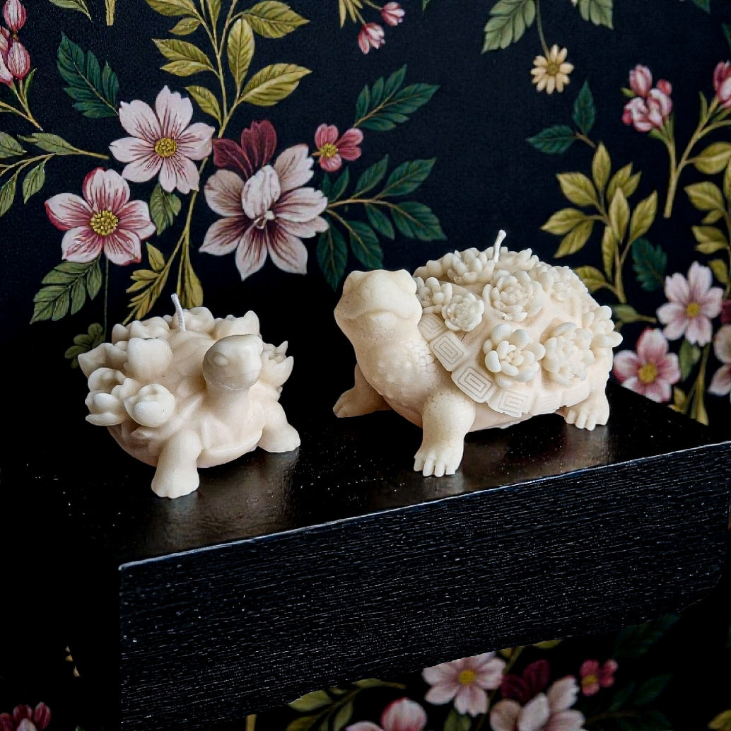 The Botanical Turtle Duo