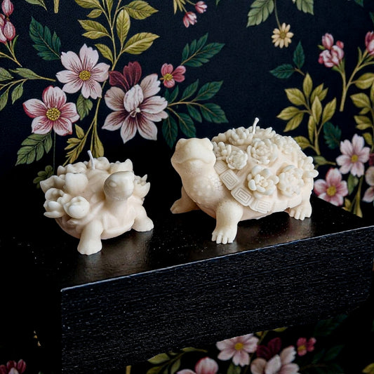 The Botanical Turtle Duo