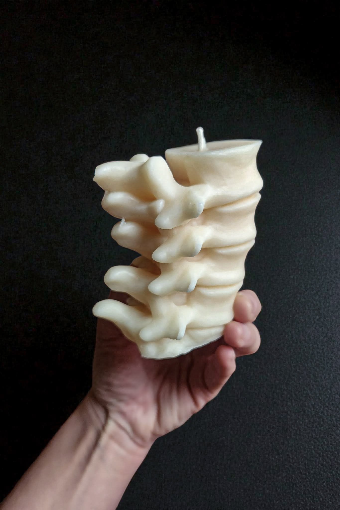 Vertebrae Candle