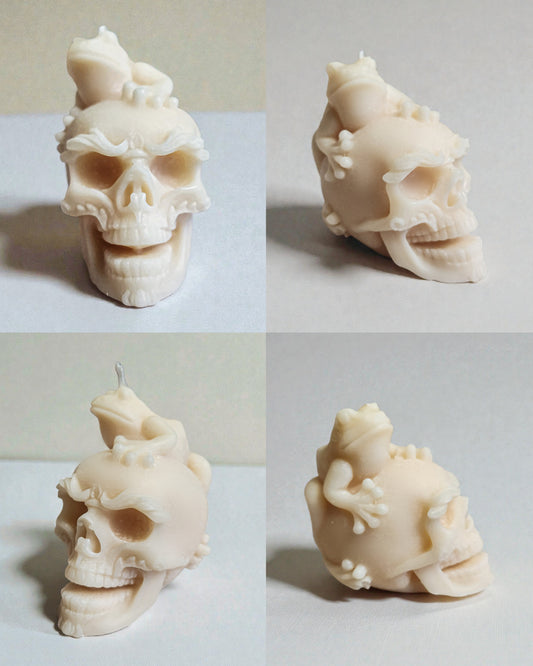 Familiar of the Fallen Candle