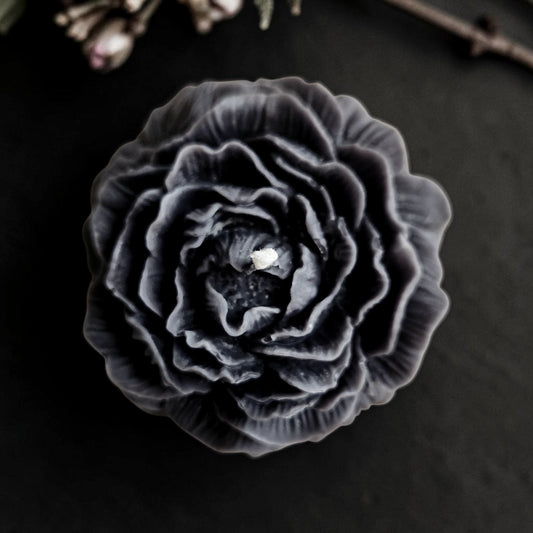 Nocturne Bloom Peony Candle (Huge)