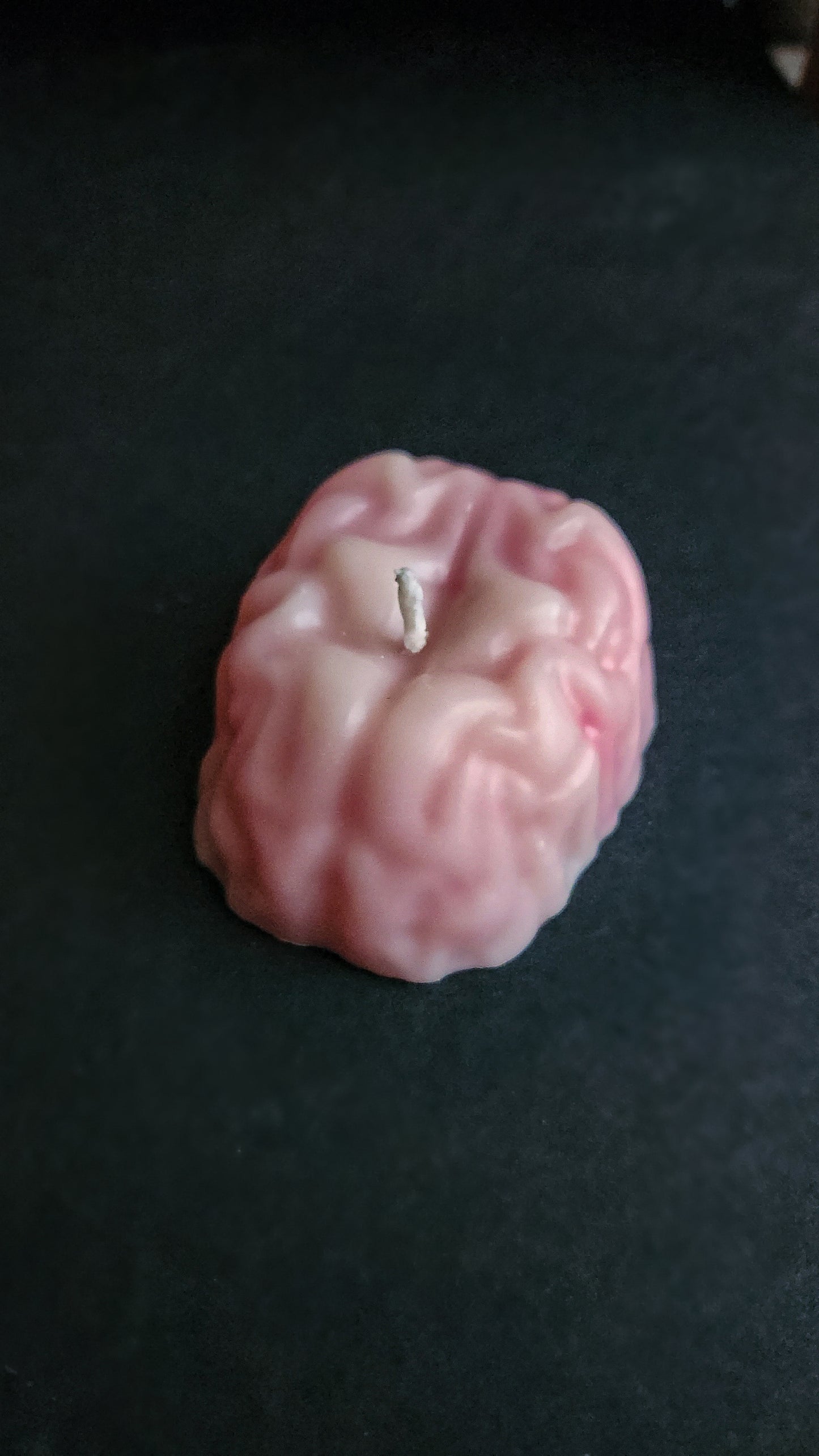 Brain Candle