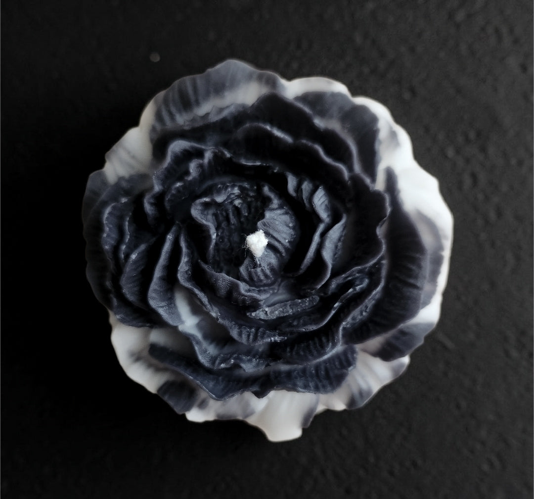 The Night Bloom Trio (Medium)