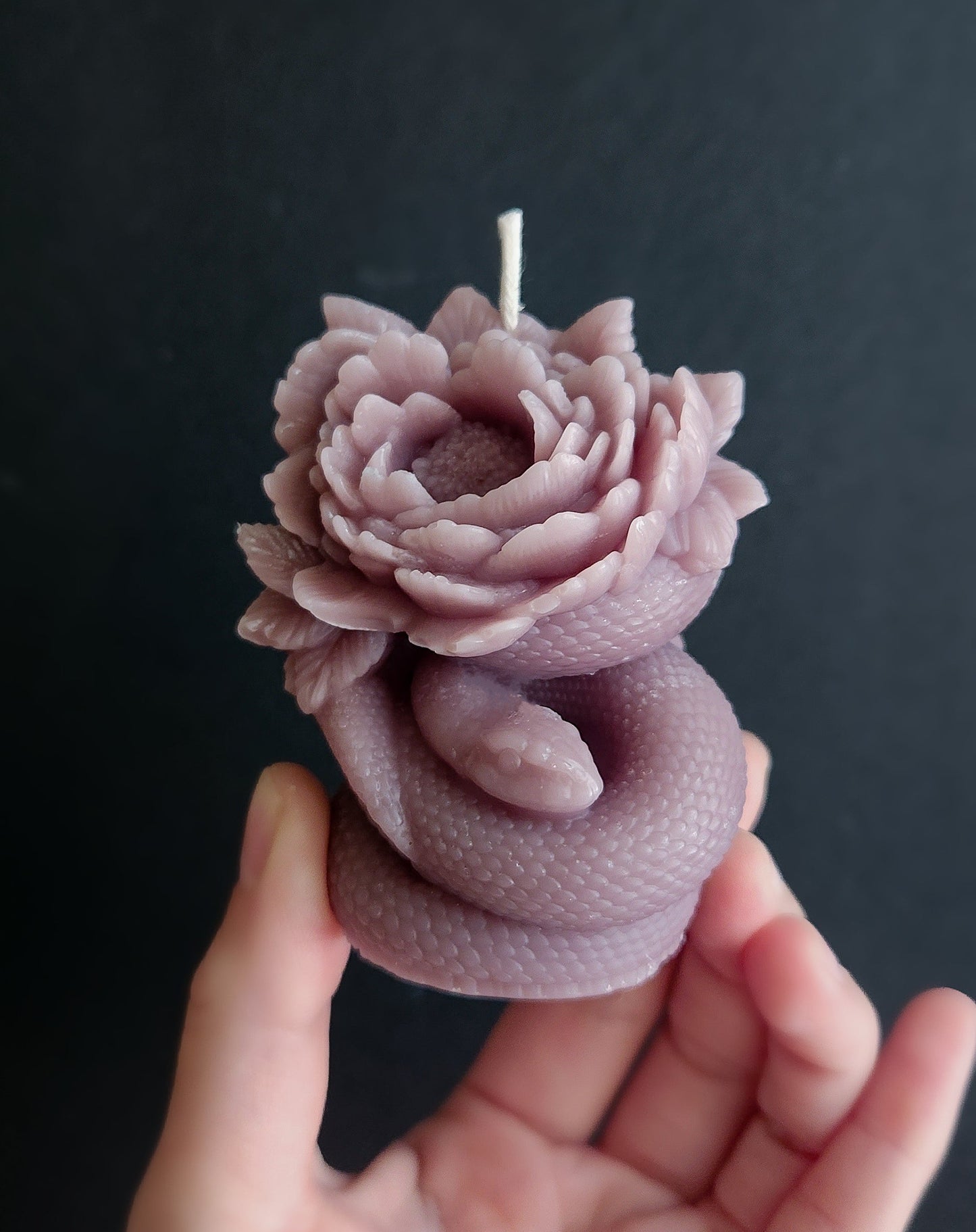 Camellia Twilight Snake Candle