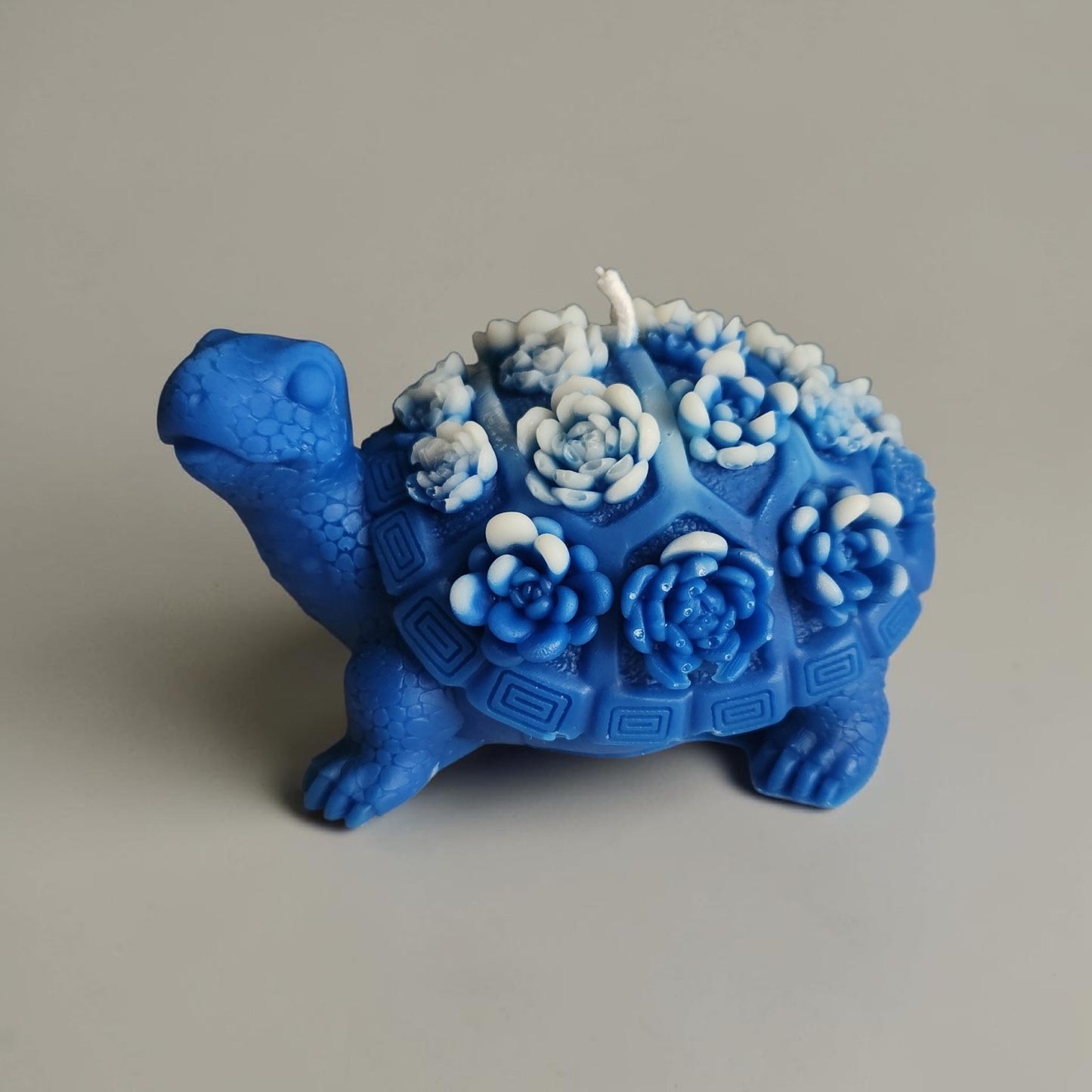 Turtle Bloom: Celestial Succulents Candle
