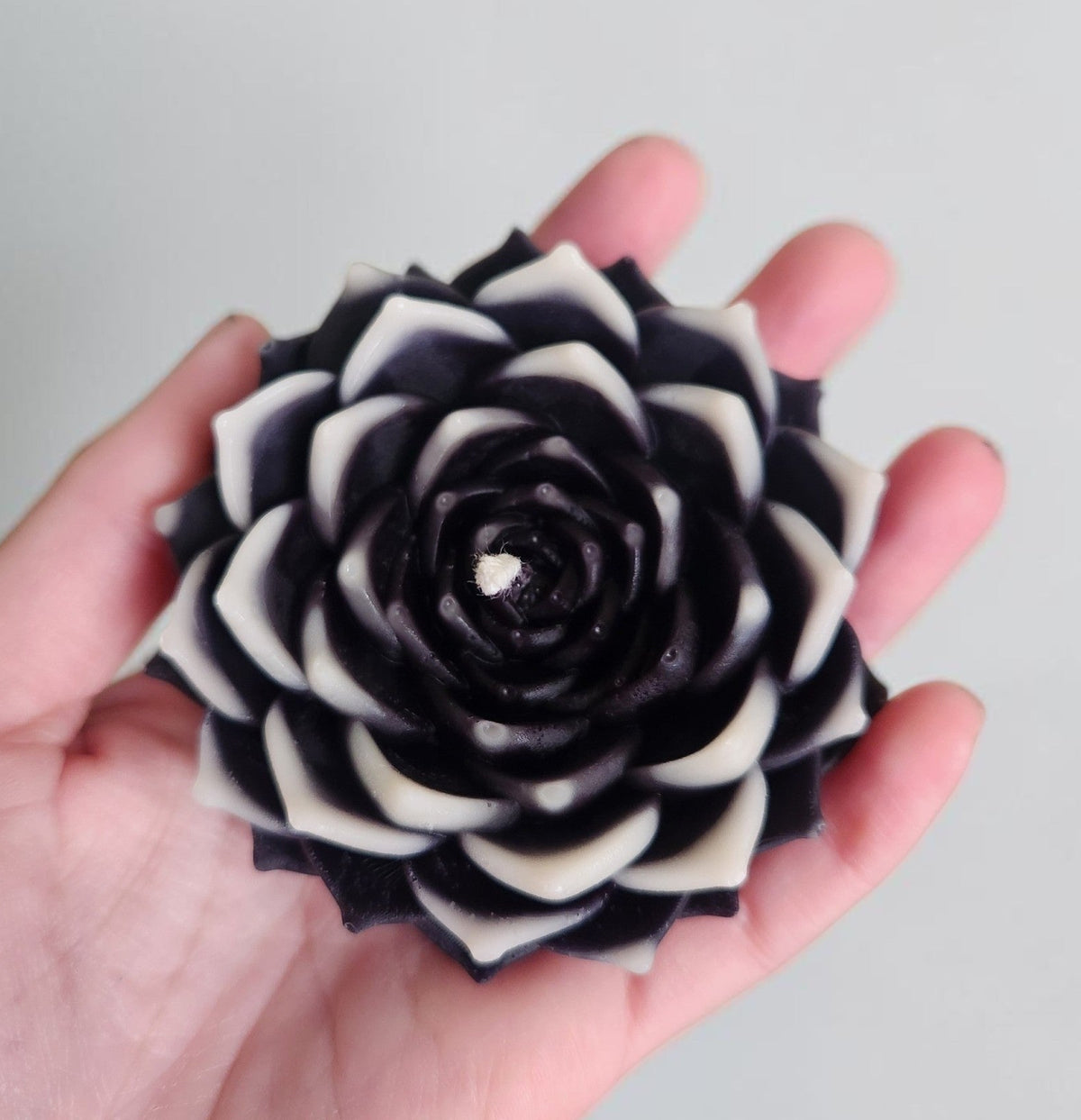 Ghost Bloom Succulent Candle