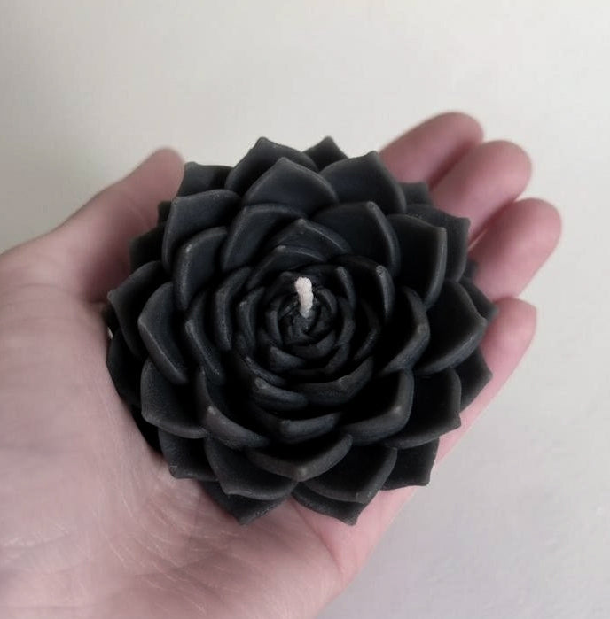 Nocturne Succulent Candle