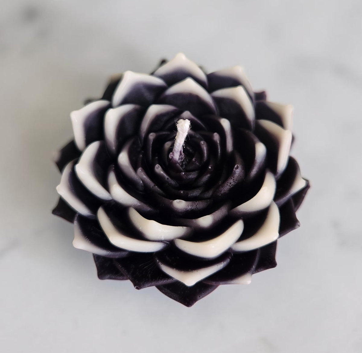 Ghost Bloom Succulent Candle
