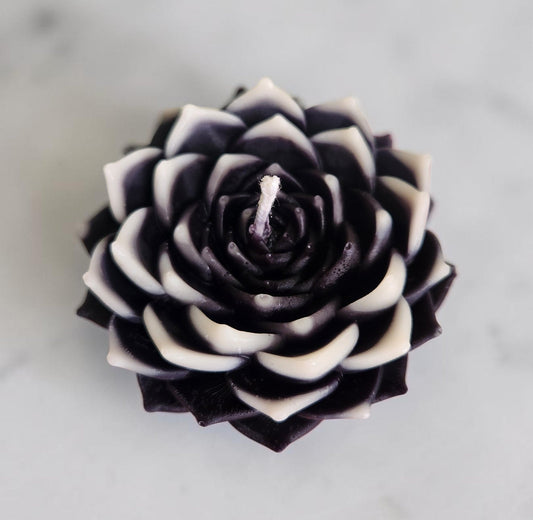 Ghost Bloom Succulent Candle