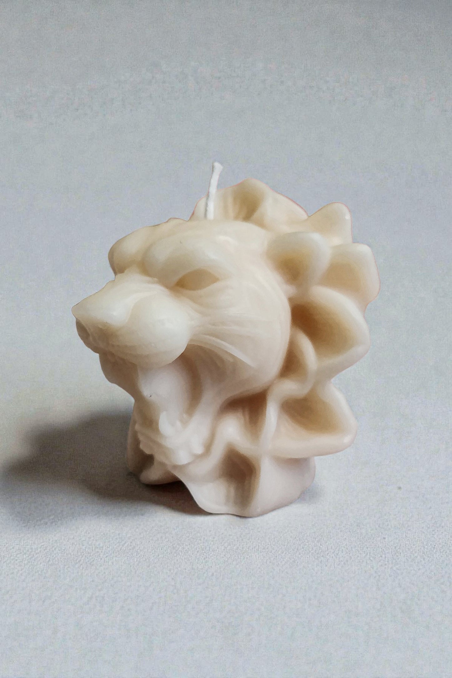 Floral Roar Candle
