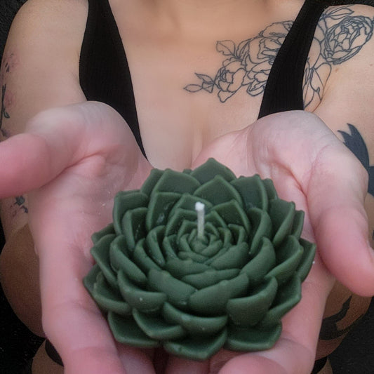 Deep Green Succulent Candle