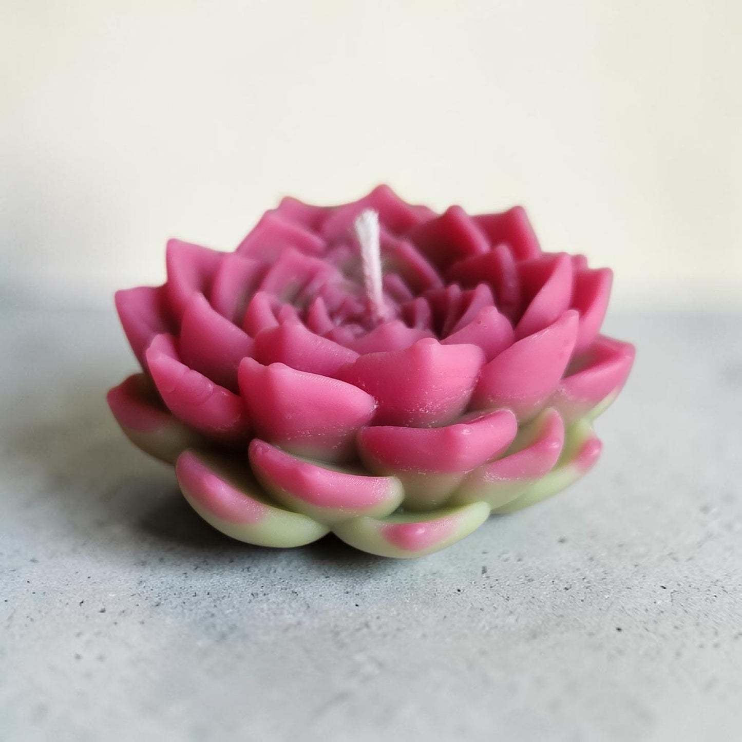Pink Crown Succulent Candle